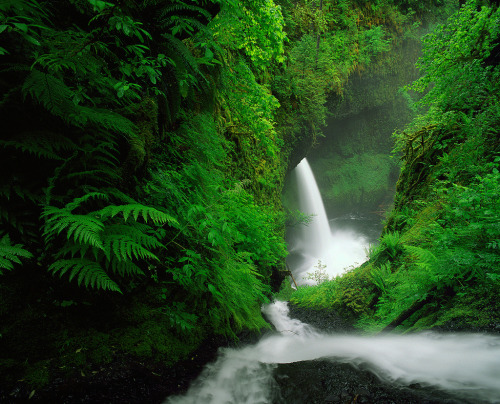 woodendreams:  (by Zeb Andrews)  want more posts like this? check out my blog!