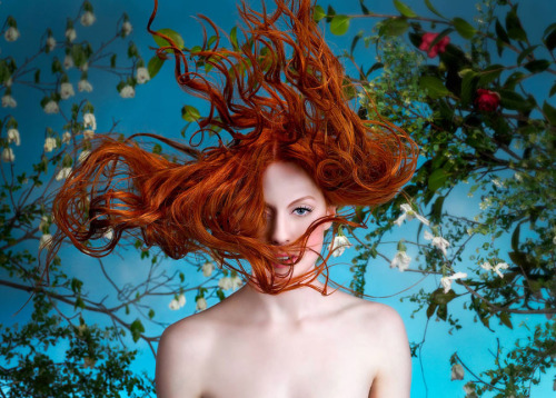 Redhead imagination ..