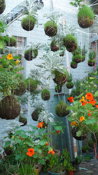 nopenothanks:  Kokedama is a Japanese art form that satisfies my deep lust for plants,