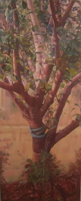 wasbella102:  “Apple Tree”: Richard Britell