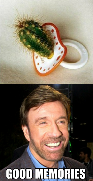 thefunniestpost:  Hysterical Blog!  :A