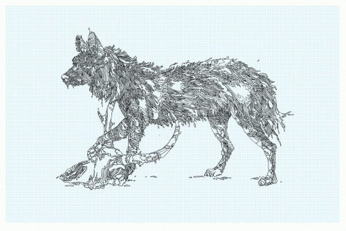 jacobescobedo:  New wolf drawing… 