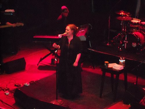 ilikeadelesheismyidol-deactivat:  Adele → In concert (2/10) 
