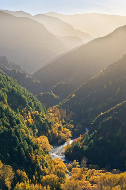 furples:  (by Paul.Simpson) 