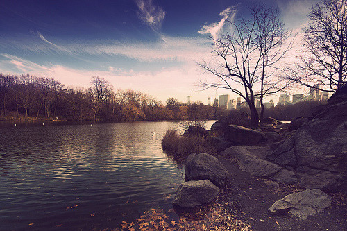 hopelesslylostwanderer.tumblr.com/post/25429383319/
