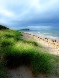 jjones186:Yellowcraigs Beach, Scotland