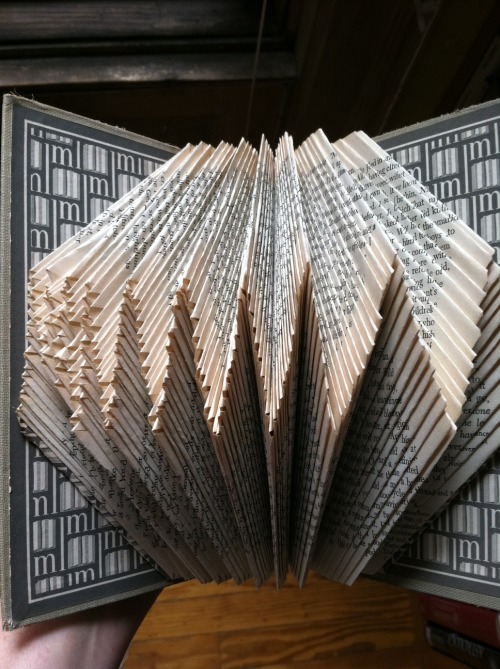 finkymadethis:  I folded this on Sunday morning, listening to a Buddhist podcast. It’s Light in August, and I loved every page. 