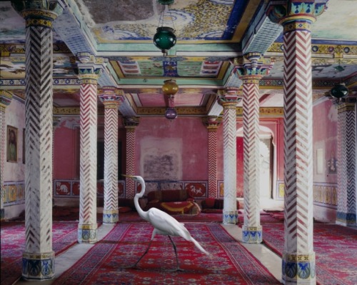 ruineshumaines:  India Song by Karen Knorr. 