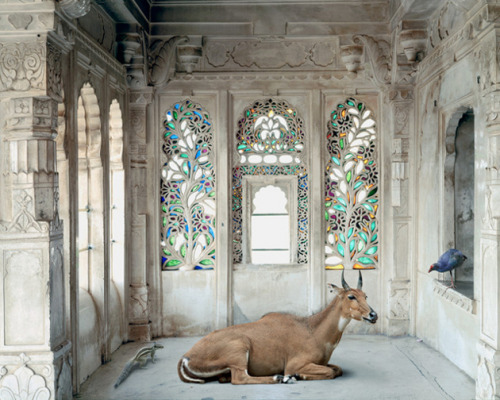 ruineshumaines:  India Song by Karen Knorr. 