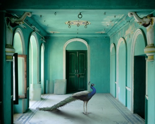 ruineshumaines:  India Song by Karen Knorr. 