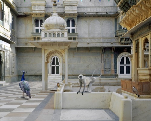 ruineshumaines:  India Song by Karen Knorr. 