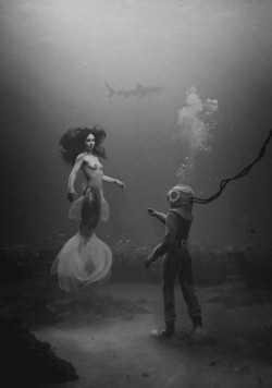 diving bell / shark / mermaid