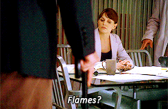 the-absolute-funniest-posts:  Follow this blog, you will love it on your dashboard