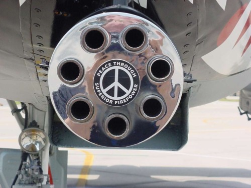 vindicatedpo210:  Tank killer 
