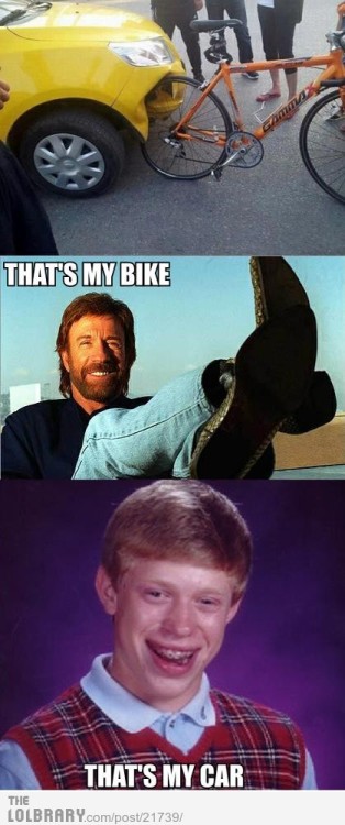 the-absolute-funniest-posts:  Follow this blog, you will love it on your dashboard