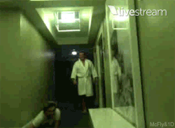 Mcflyandonedirection:  The Best Twitcam Everrr! Haha 