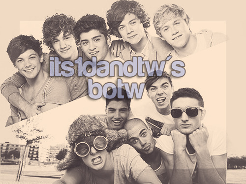 its1dandtw:  REBLOG FOR A CHANCE TO BE MY BLOG OF THE WEEK! 1D and TW blogs only