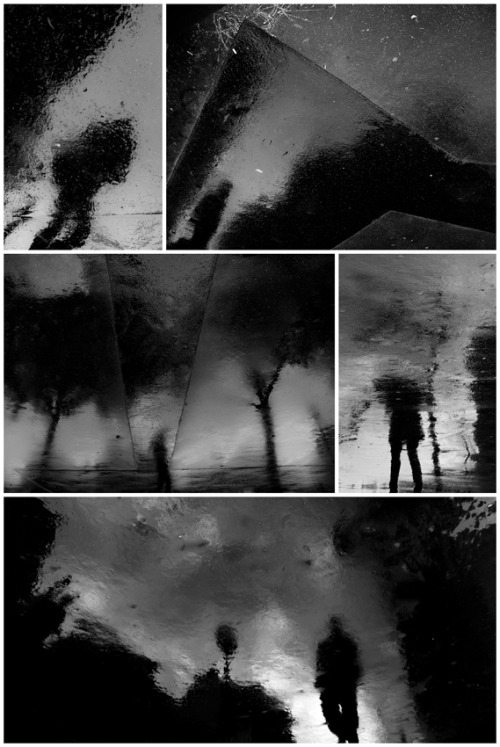 fiore-rosso:  lafirme | dystopian diary: spleen. 