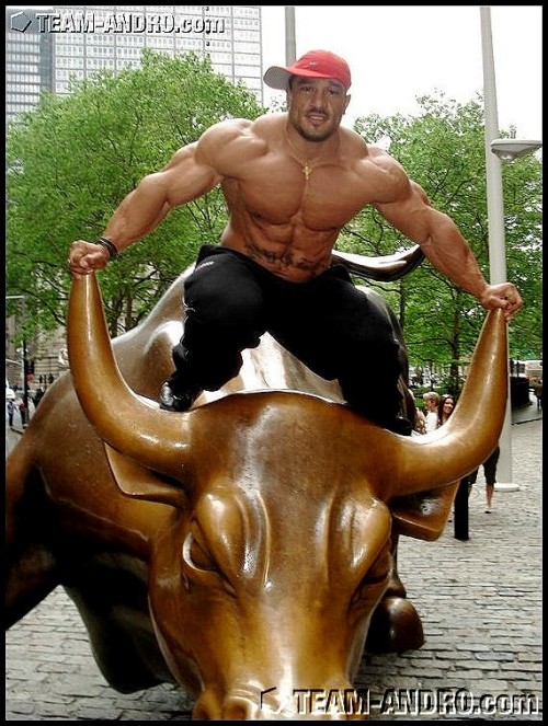 bull on a bull.