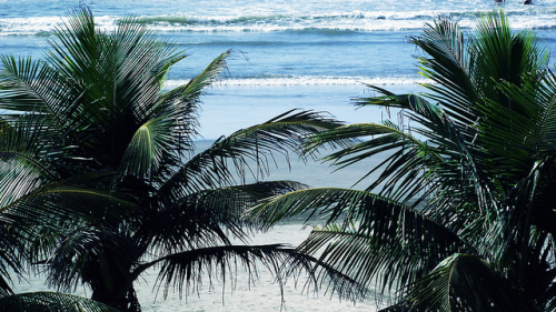 hidden-island:  my picture I took at vero beach, fl!