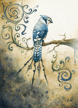 artmoderation:  (via Steampunk Bluejay by