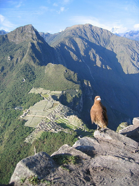 Looking at Machu Picchu from above, Peru (by THuangPhotography).