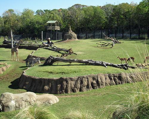 For many animal lovers, zoos conjure images of depressed animals relentlessly pacing behind iron bars. But as attitudes have changed, so have the accommodations. As wildlife habitats across the planet have become more vulnerable, zoos have stepped up...