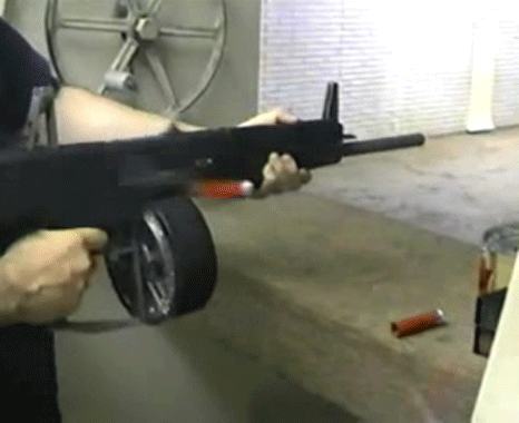 dgafdave:  blamblamfever:  beast spray   Want an AA-12 so much…