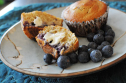 gastrogirl:  greek yogurt blueberry muffins. 