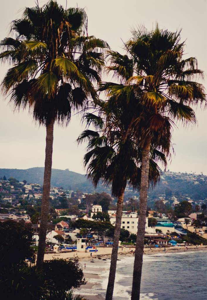 whiskeyblackleather-diamonds:
“ Laguna Beach
”