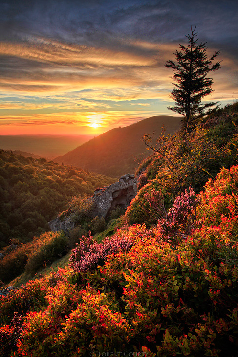 bluepueblo:  Mountain Sunset, Chaîne des Puys, France photo via finally  