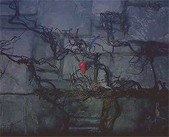 Beautiful mind, tortured soul.