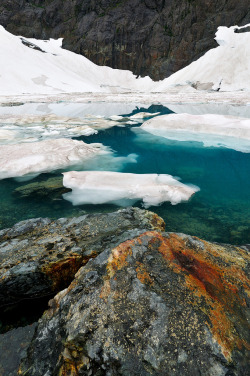 Woodendreams:  (By Tim Ennis) 