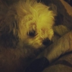 She misses daddy.. (Taken with Instagram)