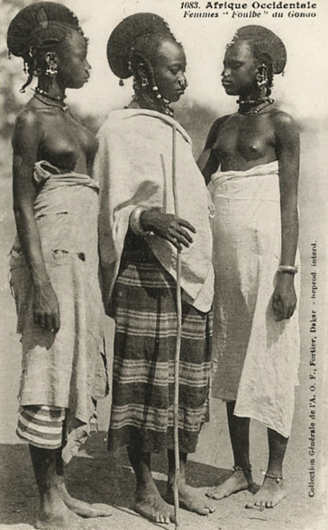 Porn photo grand-bazaar:  1910s Senegal 