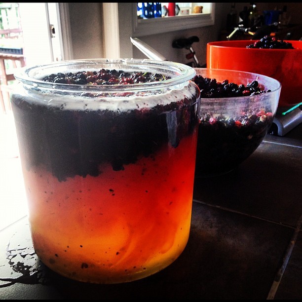 #mulberries #backyard #mead #sandorkatz (Taken with Instagram at Gladstone Chocolate Factory)