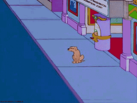 Quando a professora começa a falar bem de mim: