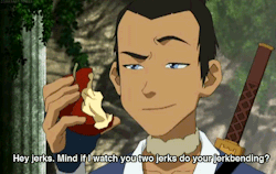 kit-replica:  yssadalawa:   #sokka says shit like this to zuko when he’s fire lord#in front of other politicians #i mean they’re like what 17/16 when zuko’s crowned#so they have to mingle with adults and sokka’s like FFFF YEAH OK ZUKO #’HEY