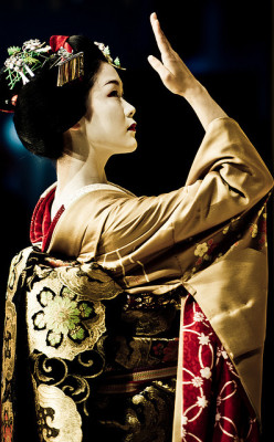 geisha-licious:  maiko Ayano of Pontocho