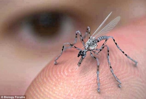 hirai:  【画像あり】マジか(蚊)？　アメリカ軍が開発したサイボーグの「蚊」がヤバすぎる　こんなの見分けつかねーよ