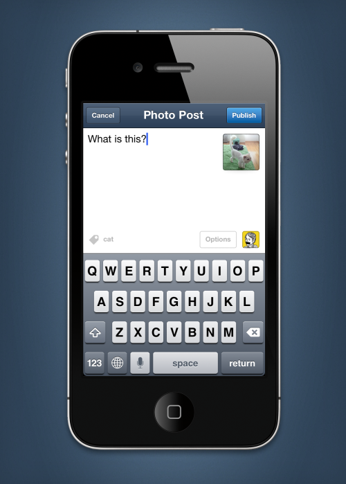 Porn staff:  Tumblr for iPhone 3.0: Now available photos