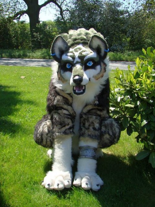 This is a friend of mines Wolf Link cosplay from Legend Of Zelda: Twilight Princess. She got this su