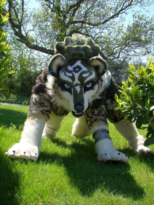 This is a friend of mines Wolf Link cosplay from Legend Of Zelda: Twilight Princess. She got this su