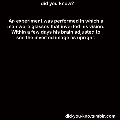 did-you-kno:  Source
