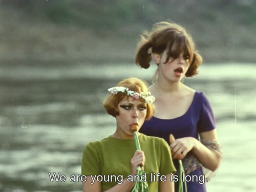 nosex:DAISIES (VERA CHYTILOVÁ, 1966)