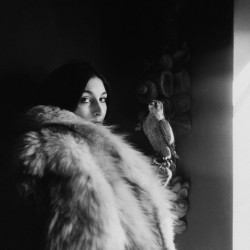 compendium-of-beasts:  Anjelica Huston via