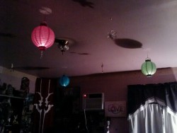 cklikestogame:  wahrsager:  cklikestogame:  wahrsager:  just hung paper lanterns in my room. I think I might get more :3  Did you take down some snowflakes? It looks like you did.  Yup, had to make room for the lanterns. I might put them up only for the