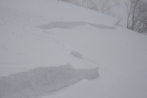 eternally-pale: pale