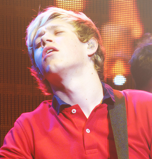 iwanttonanana1d:  steferine-blog: 6/50 photos of niall horan  Why do I find this picture SO ATTRACTIVE. 