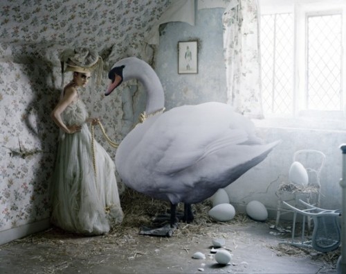 panthera-aquarius:  Tim Walker photography
